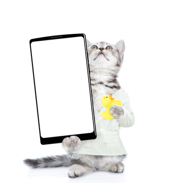 Cute kitten wearing bathrobe standing on hind legs showing big smartphone with white blank screen in it paw and looking up on empty space. Isolated on white background