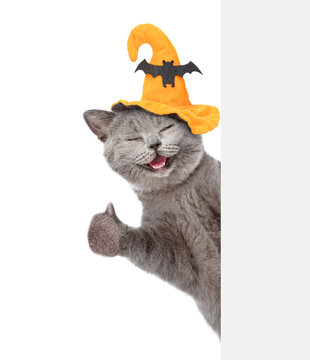 Surprised cat wearing hat for halloween looks from behind blank white banner and shows thumbs up gesture. isolated on white background