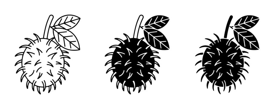 Spiky Fruit Icons, Tropical Rambutan Vector Illustrations, Exotic Produce Graphics