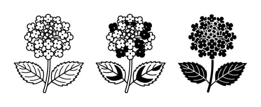 Hydrangea Flower Vector Icons, Botanical Line Art & Silhouette Styles, Floral Graphics