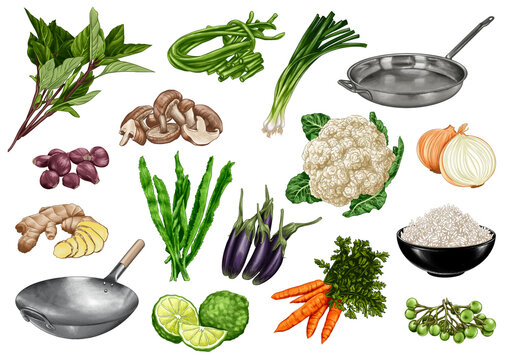 Thai and asian Cooking Utensils and Fresh Vegetables Collection, Wok, Rice and Herbs Illustration