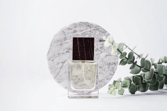 Perfume or glass cosmetic spray bottle with wooden cap mockup with eucalyptus leaves decoration on white background