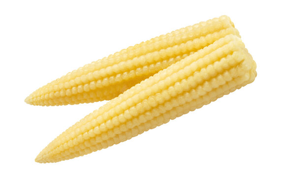 Delicious baby corn cobs, isolated on transparent cutout background