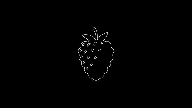 Animated drawing raspberry fruit outline animation