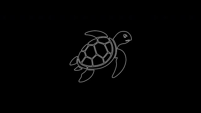 Animated sea turtle drawing appearing and swimming