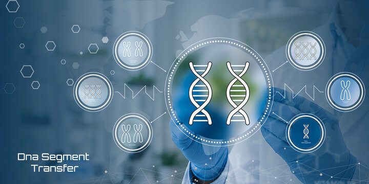 DNA Segment Transfer with Advanced Biotech Technology and Genetic Analysis