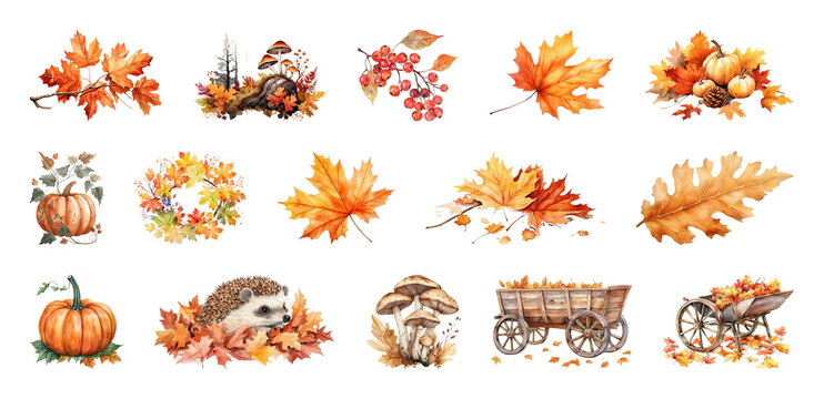 PNG Autumn elements: leaves, pumpkins, hedgehog, mushrooms, transparent background