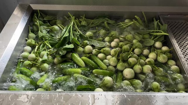 Fresh vegetables being washed in an industrial vegetable washing machine during food manufacturing. Pre-processing stage supporting ingredient preparation, food safety, hygiene management, and large-s
