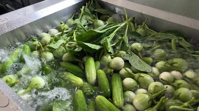 Fresh vegetables being washed in an industrial vegetable washing machine during food manufacturing. Pre-processing stage supporting ingredient preparation, food safety, hygiene management, and large-s