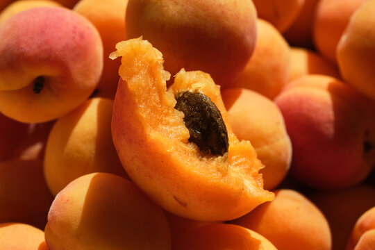 Fresh apricot pulp with a pit inside. Shallow depth of field.