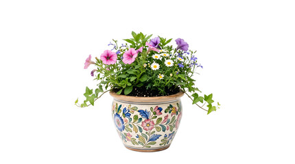 Fototapeta premium flower in a pot ,isolated on transparent background png