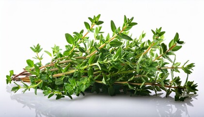 Fototapeta premium Fresh Thyme Herb Isolated On Transparent Background