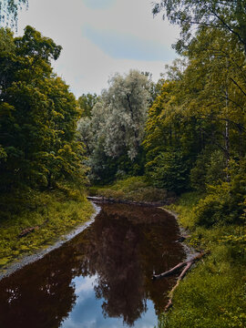 bed of river in the Leningrad region