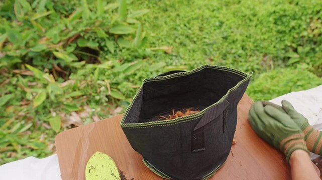 Gardener Wearing Protective Gloves Places Coconut Husk into a Black Fabric Pot, Creating Natural Drainage for Growing a Young Papaya Plant Outdoors