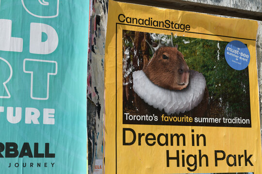 street posters in Toronto (Canadian Stage, Dream in High Park)