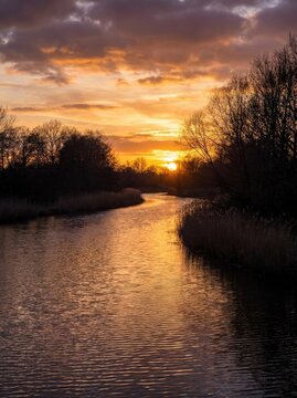 The sun sets over a calm river, casting a warm golden glow on the water and surrounding trees. Bare trees line the riverbank, silhouetted against the vibrant sky.