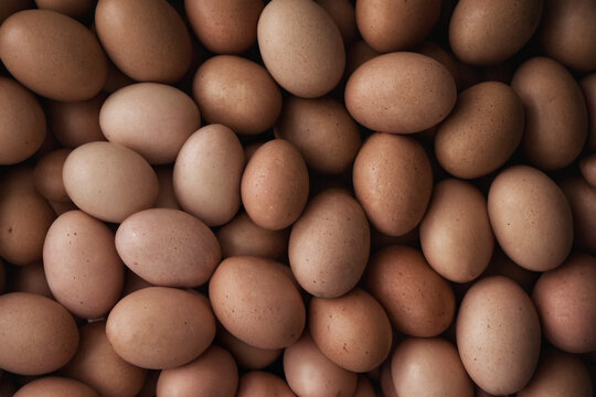 Close-up dark eggshell texture