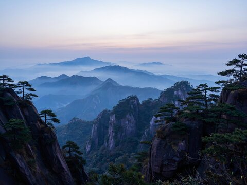 Misty mountain landscape with unique pines and rocks at dawn