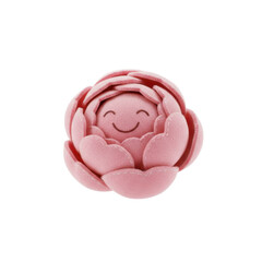 Fototapeta premium Cute Felt Pink Flower with a Smiling Face