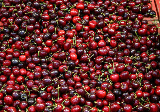 Fresh cherries at the local market. Delicious sweet cherries for sale.