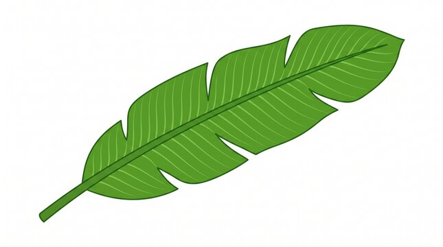 Vector icon of a bright green banana leaf with parallel veins and split edges. Clean flat design on white background. Symbol for tropical, nature, and lush growth.
