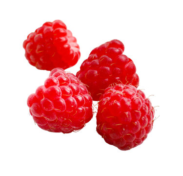 delicious organic red raspberries isolated on white background
