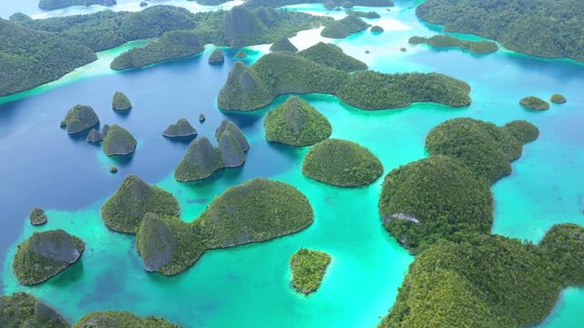 Aerial view of Wayag Island with its iconic karst limestone islets rising from turquoise waters and lush tropical vegetation in Raja Ampat, Southwest Papua, Indonesia.