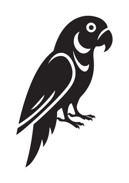 vector illustration of a black parrot