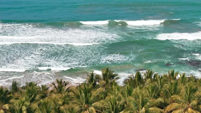 Aerial view of lush palm trees swaying near the turquoise sea with waves crashing against the sandy shore in Indonesia.