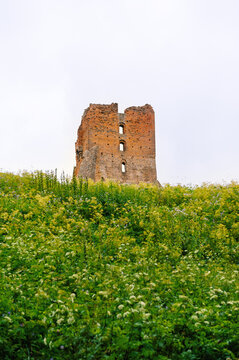 Medieval historic fortress tower crowns green hillside