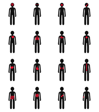 Human anatomy icon set of 16 full body pictograms with organs marked in red on black silhouettes