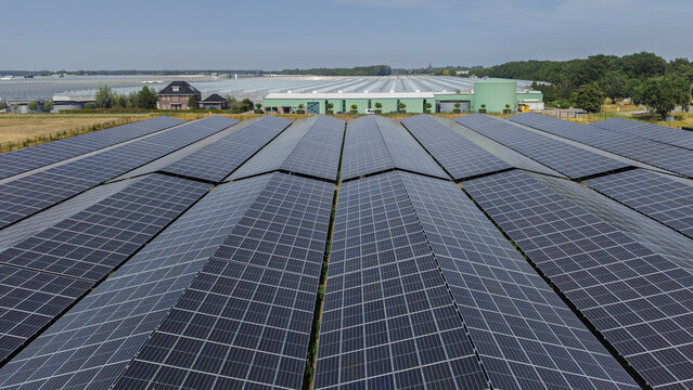Aerial view of a large solar panel array covering the roof of a greenhouse facility in the rural landscape of Steenbergen, North Brabant, Netherlands.