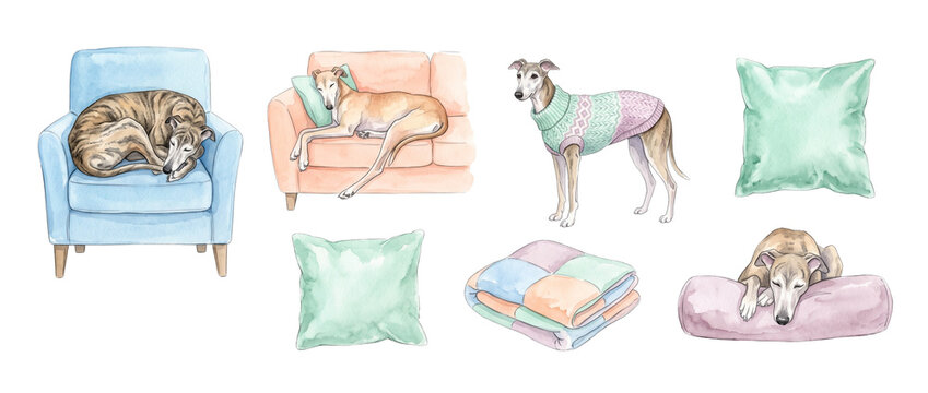 Watercolor greyhound dog whippet clipart set featuring cute sighthound sleeping on armchair sofa wearing cozy sweater with pillows and blanket for interior home decor design isolated on background