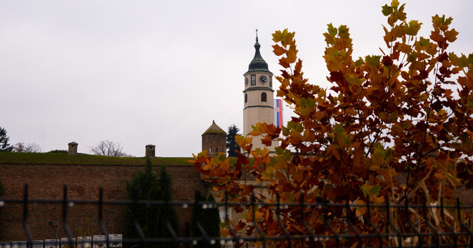 Autumn landscape with fallen leaves and the Clock Tower Sahat Kula, part of Belgrade Fortress, with the Serbian flag visible. Concept of fall tourism in Serbia.