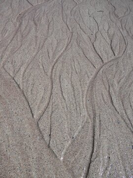 Patterns made by rivulets of water over sand