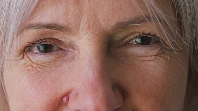 Detailed portrait senior Caucasian woman looking into camera with warm brown eyes and natural expression. Close up mature female face showing authentic beauty confidence and aging gracefully.