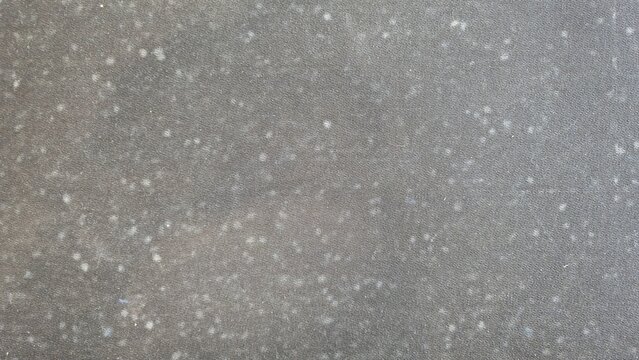 Dusty black fabric flooring texture with white spots. Close-up of distressed dark textile material covered with fine dust specs and organic grey stains.