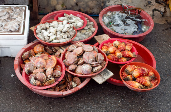 Street market in Busan, South Korea, various seafood in red plastic bowls