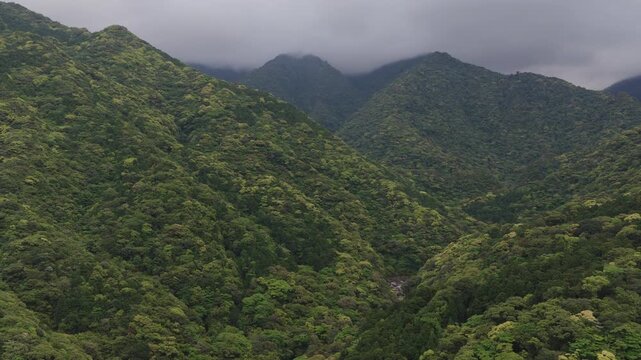 Aerial view of forested canyon and river on overcast day in Yakushima, Japan