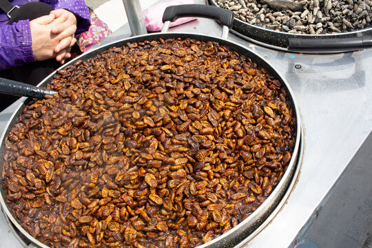 Street food in Busan, South Korea, featuring a large pan filled with cooked silkworm