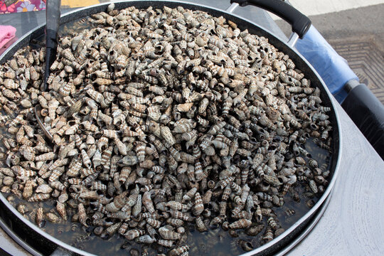 A large pan filled with seashells, periwinkles (Littorina littorea),- South Korean street food