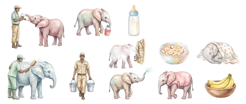 Baby elephant sanctuary care set featuring zookeeper feeding milk bottle, bathing calf, carrying water buckets, sleeping under blanket, eating fruit bowl illustration clipart isolated on black backgro