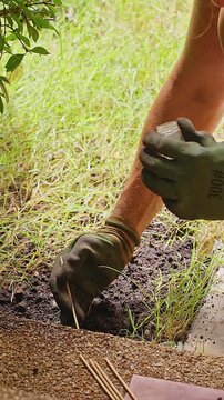 Vertical video. Gloved Woman Makes a Small Hole in Garden Soil and Plants Seeds by Hand, Home Gardening, New Growth, Cultivation, and Sustainable Living