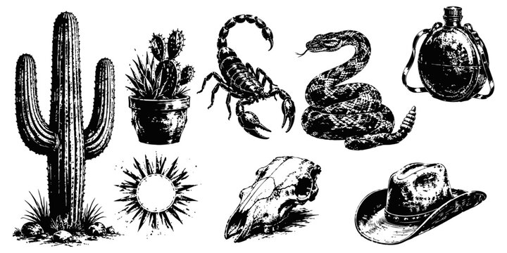 wild west vintage illustrations set cactus, scorpion, rattlesnake, cowboy hat, skull, canteen and sun design