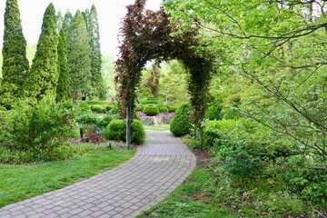 Fototapeta premium The empty pathway in the pardon a spring day.