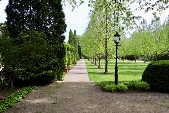 The footpath in the garden on a sunny day.