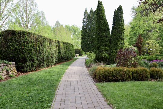 The pathway in the garden on a cloudy day.