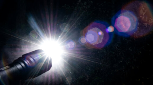 Flashlight beam shining in dark forest with strong lens flares and light streaks.