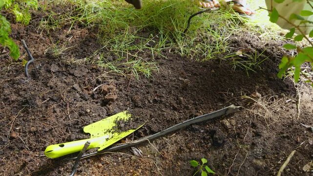 Gloved Woman Spreads Loose Soil by Hand across a Garden Bed near Grass, Soil Preparation, Ground Improvement, and Sustainable Gardening
