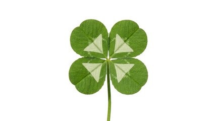 Obraz premium Four leaf clover with white markings on a transparent background PNG file